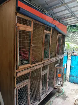 Kandang Ayam Besar