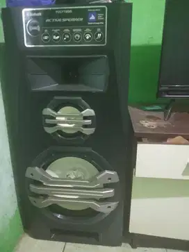 Speaker Polytron PAS 2A15