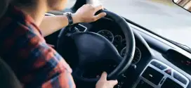 Dibutuhkan Supir Pribadi