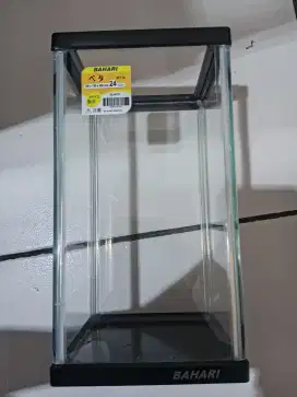 Aquarium ikan cupang