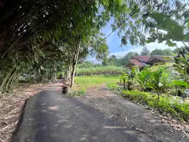 Tanah Cisauk Pas Buat Hunian, 9 Menit Stasiun Jatake