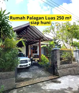 Rumah Jalan Palagan Tanah Luas 250 Lantai 1 Nyaman