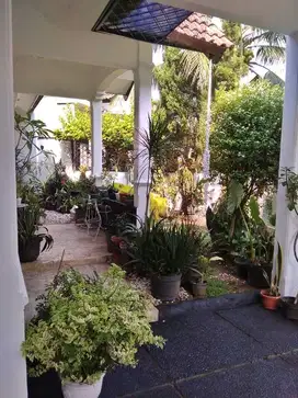 Rumah murah daerah kemang pratama bekasi