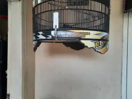 Sangkar isinya preatasian gacor