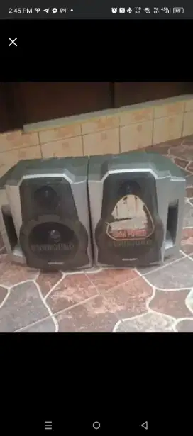 Speaker salon sharp