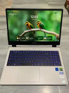 COLORFUL EVOL P15-23-HJ76B i7-13620H | 512GB SSD |16GB |RTX4060|144HZ
