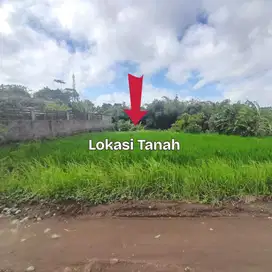 Tanah Kavling 5 Are. Cekomaria. Kawasan Villa