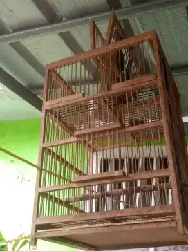 Jual kandang jebak burung