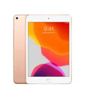 iPad Mini 5 Celuler Card 256 Gb