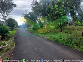 DIJUAL CEPAT TANAH CANTIK DI KONSOLIDASI MAPANGET, HARGA SANGAT MURAH