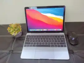 MacBook Retina 12-Inch Early 2015 Core M 1,2Ghz 8GB 500GB Big Sure