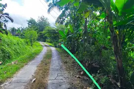 JUAL TANAH DI BANYUROTO NANGGULAN KULONPROGO VIEW SAWAH