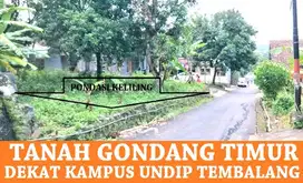 Tanah HM Tembalang UNDIP Semarang_Gondang Timur,Ada sumur Artetis +65m
