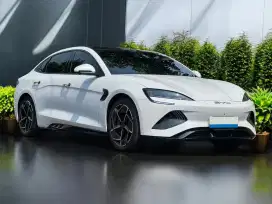 BYD SEAL PERFORMANCE 3.8 AWD AT 2024