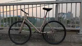 jual aja pixie kesayangan