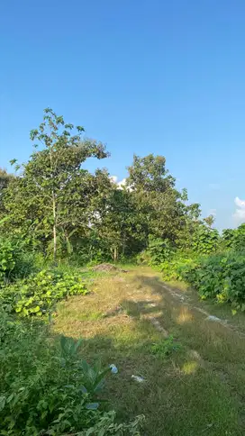 Tanah Tegalan View sejuk Asri
