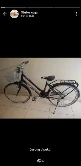 Sepeda lovina jarang dipakai