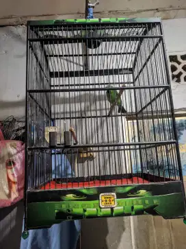 Murai Daun Pisang ,, Isian Mesin Jahit
