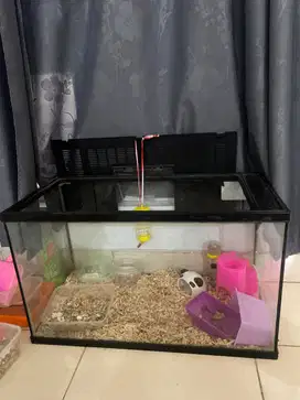 AQUARIUM KACA 60cm