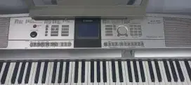 Portable grand DGX-505