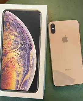 Iphone xs max 256 inter