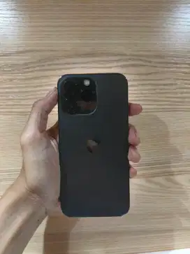 iPhone 13 Pro 256 Inter