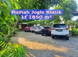 Villa Tepi Sawah Klasik Tanah Luas Dengan Pendopo Luas