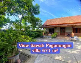 Villa Tepi Sawah View Pegunungan Luas 671 m²