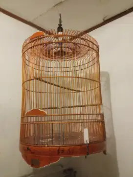 Kandang Murai No. 1