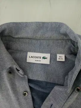 Kemeja lacoste bekas