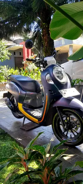 Jual Honda Scoopy