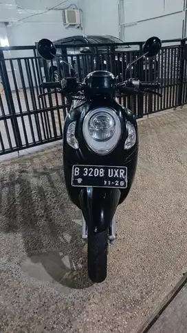 New scoopy prestige muluss