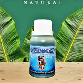 Obat Ikan Motile Aeromonas Kuncup, siknas, stress