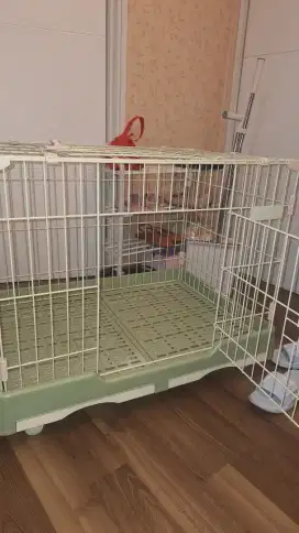 Kandang Kelinci Premium / Premium Rabbit Cage