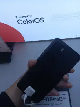 Oppo Reno12 5G 12/256gb