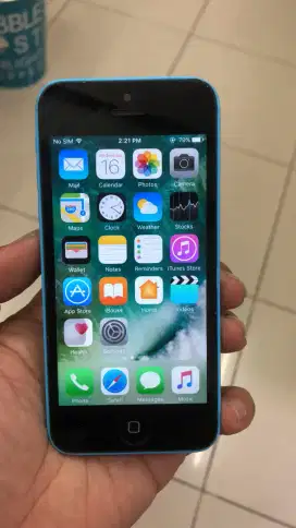 iPhone 5c ( Bekas pemakaian iCloud aman)