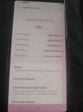 Samsung Galaxy A8 (2018)
