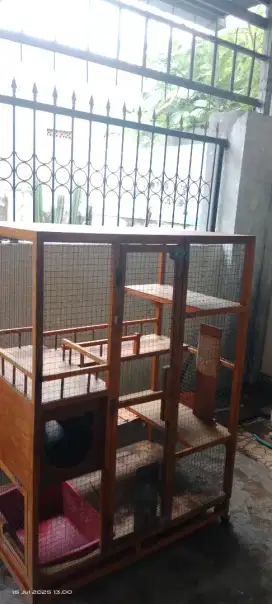 Jual Kandang Kucing