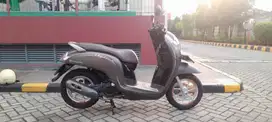 Scoopy stylish 2019