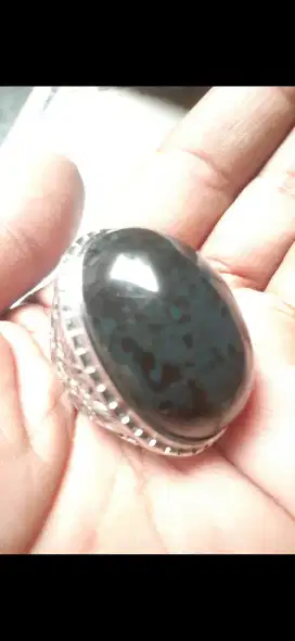 Bacan totol coklat jumbo