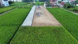 Tanah selatan taman