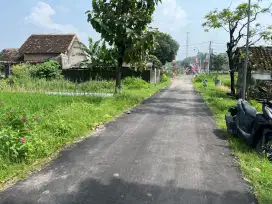 Di jual sawah murah