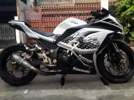 NINJA F1 250 TH 2013