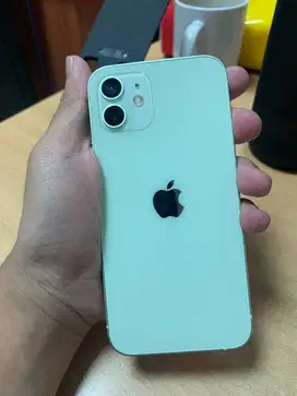 Iphone 12 128 gb inter fullset Green