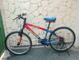 Sepada WTB wimcycle