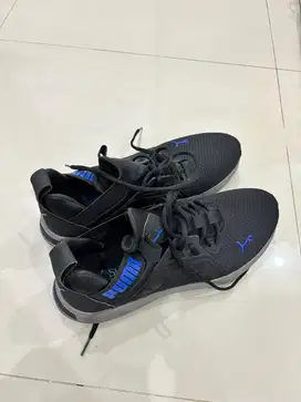 PUMA Sepatu Lari Pria Softride Enzo NXT
