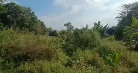 Dijual Cepat Tanah Pinggir jalan di Paseh Majalaya