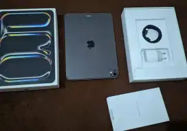 iPad pro M4 11 inch ibox