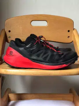 Salomon Sense Ride 4 sepatu