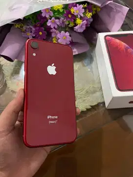 Iphone Xr 64gb Red, Original Lengkap